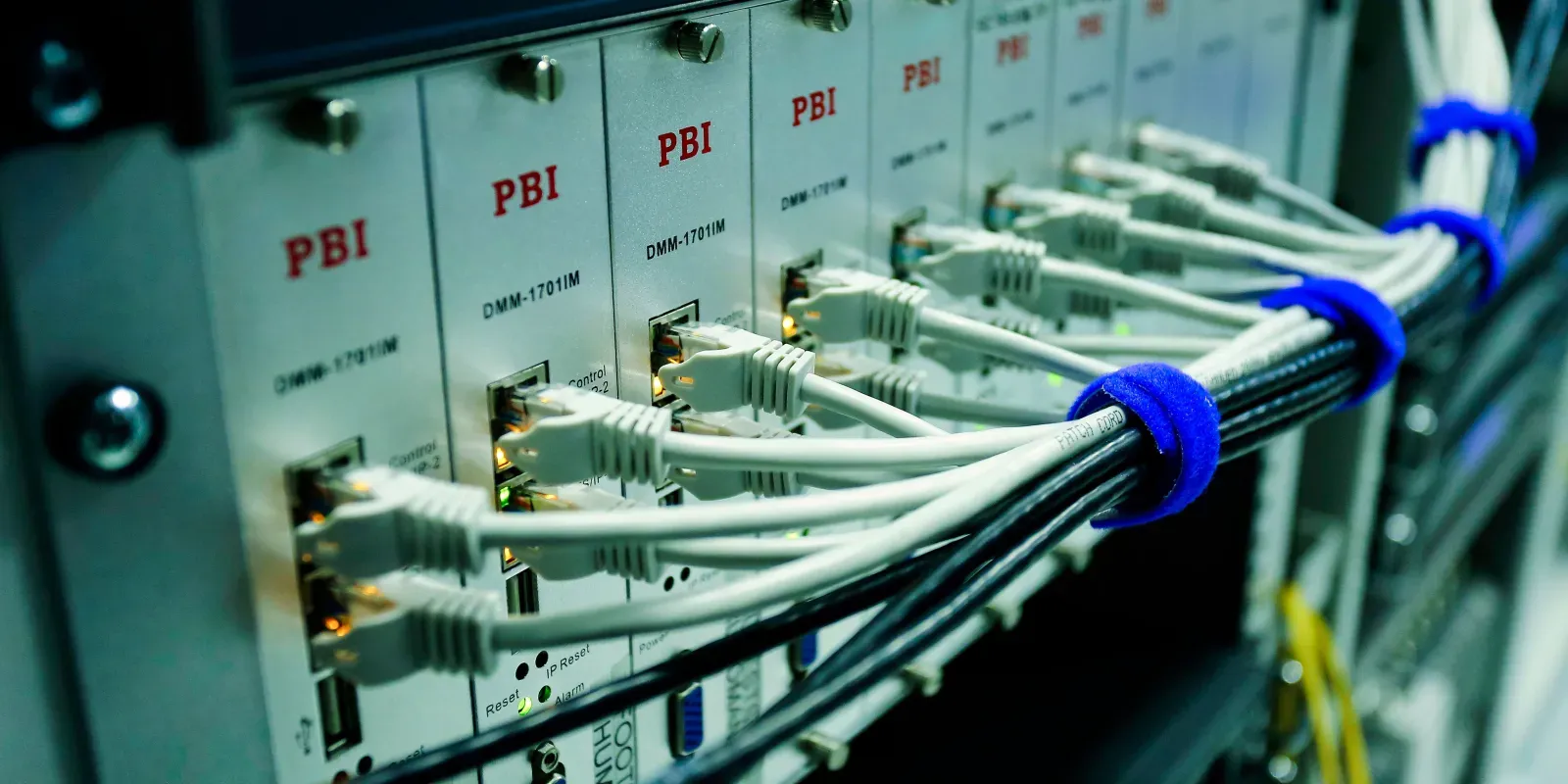 Netzwerkkabel an einem Switch als Symbol für getrennte VLAN-Netzbereiche